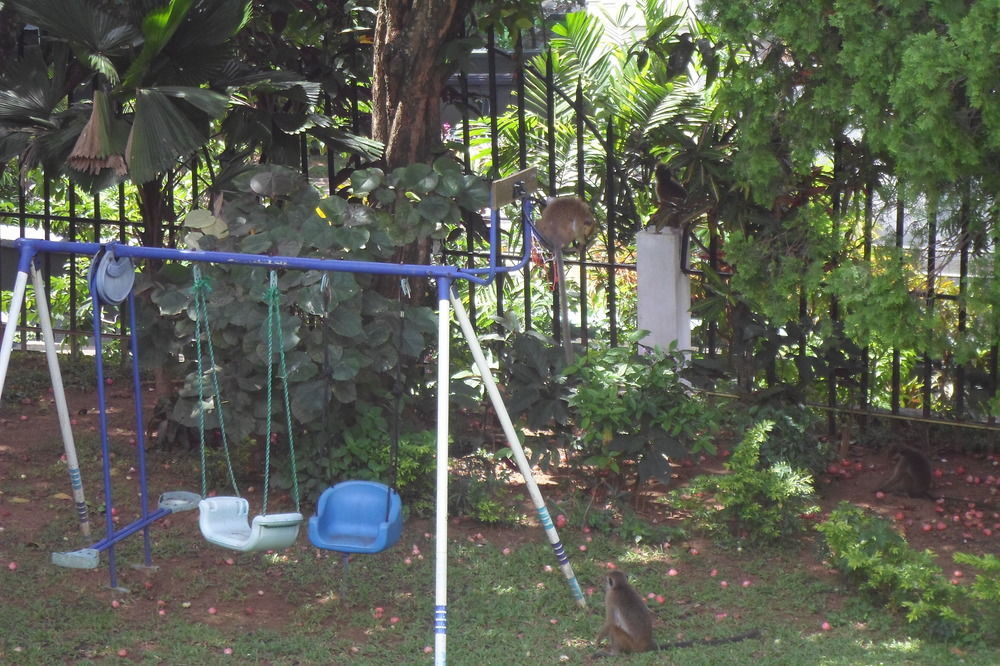 Kandy Green View Bungalow Esterno foto
