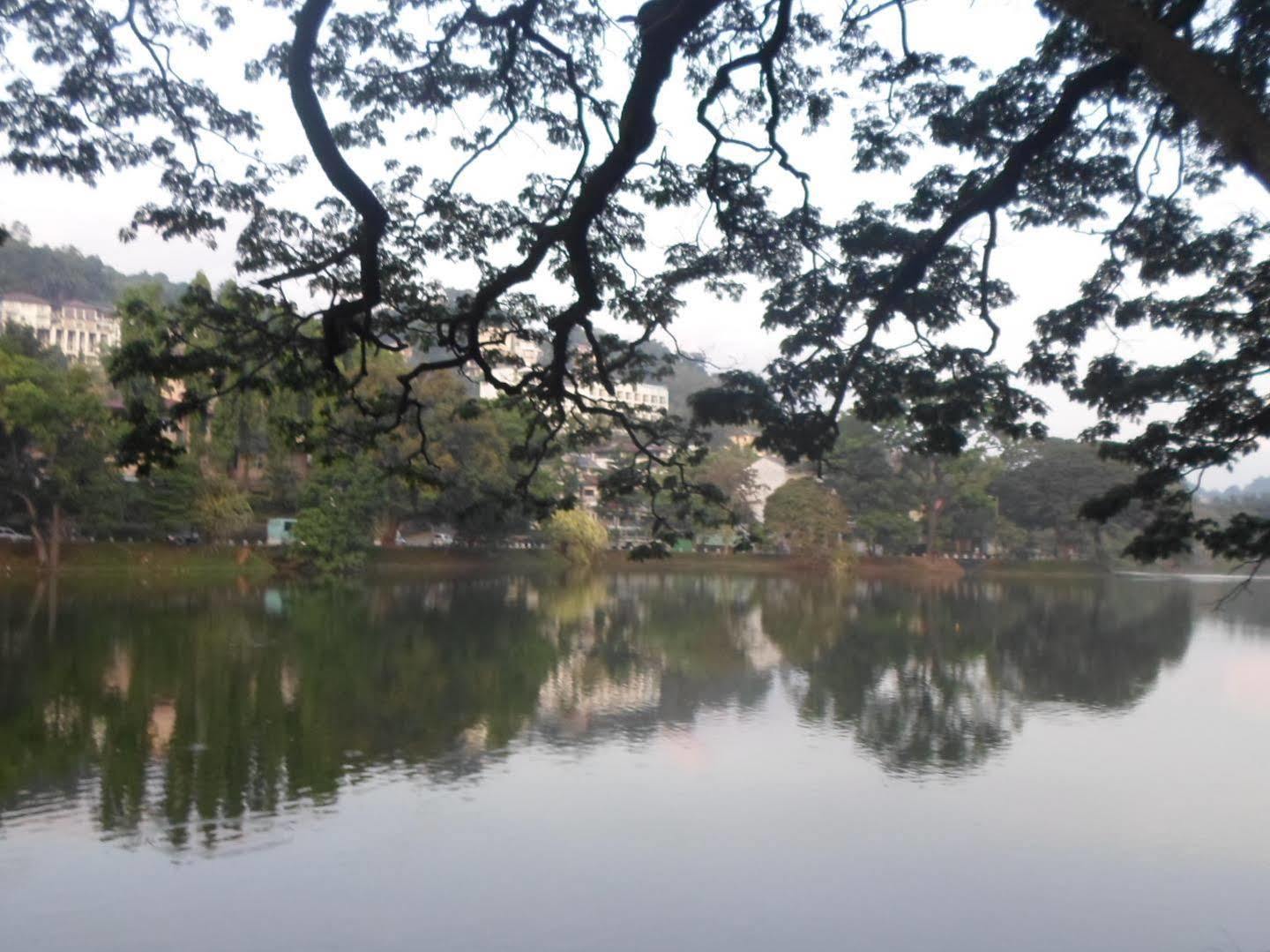 Kandy Green View Bungalow Esterno foto